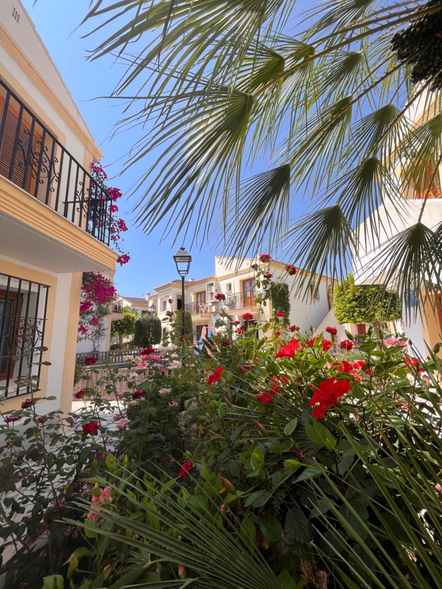 Apartamento Esquina Verde En Vera Coast Playas de Vera Zewnętrze zdjęcie